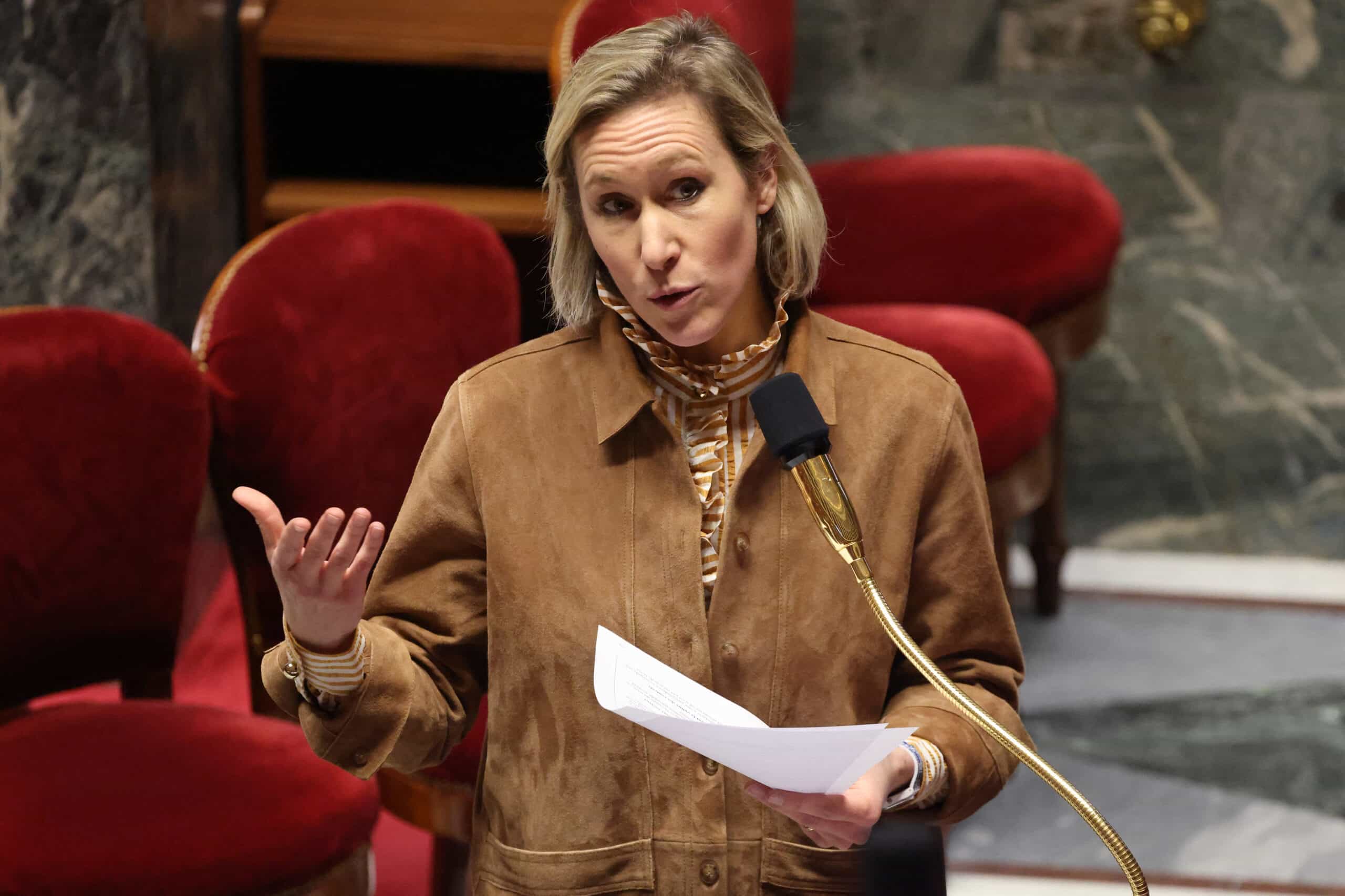 French lawmakers pass bill banning social media for under-15s