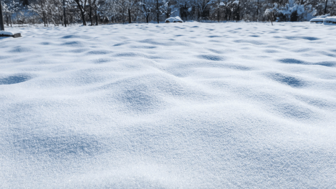 Small part of Florida gets snow second year in a row