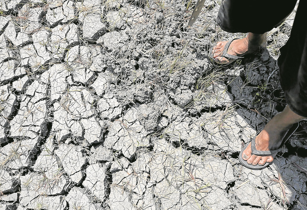 2025 marked by extreme heat, record temperatures