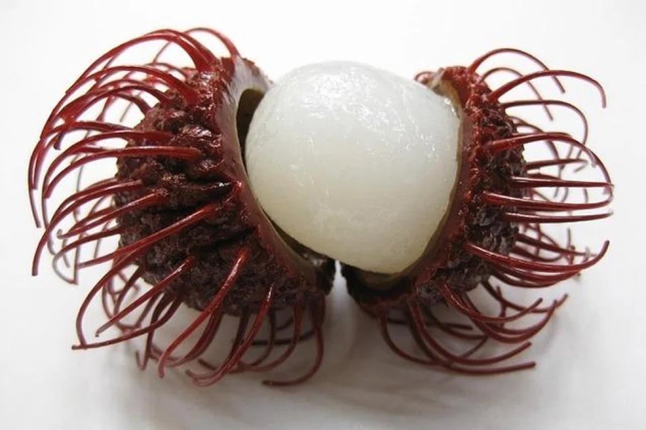 5-year-old boy dies in Malaysia after choking on rambutan seed