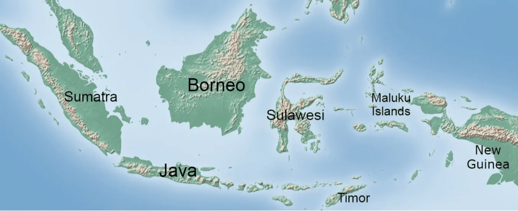 Indonesian plane with 11 people vanishes; search is underway