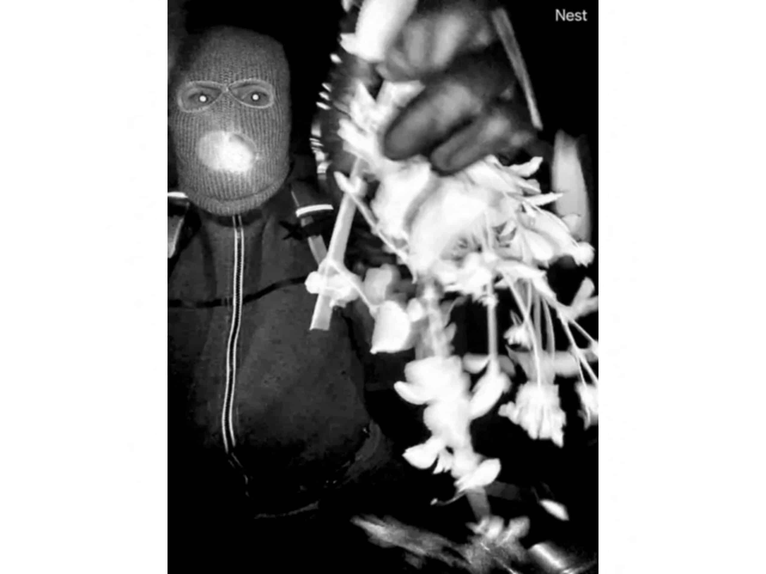 Masked person sought over kidnap of US TV anchor’s mother