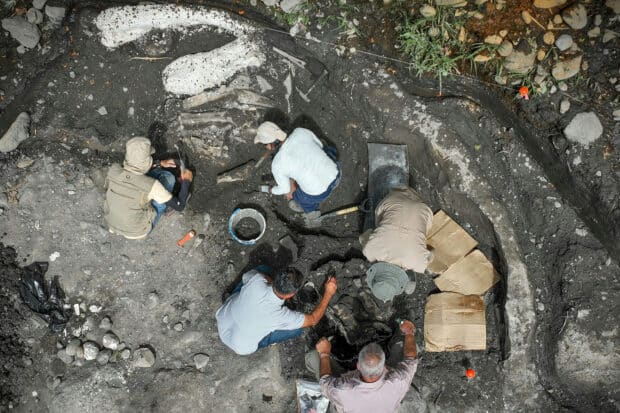 Costa Rica digs up mastodon, giant sloth bones in major find