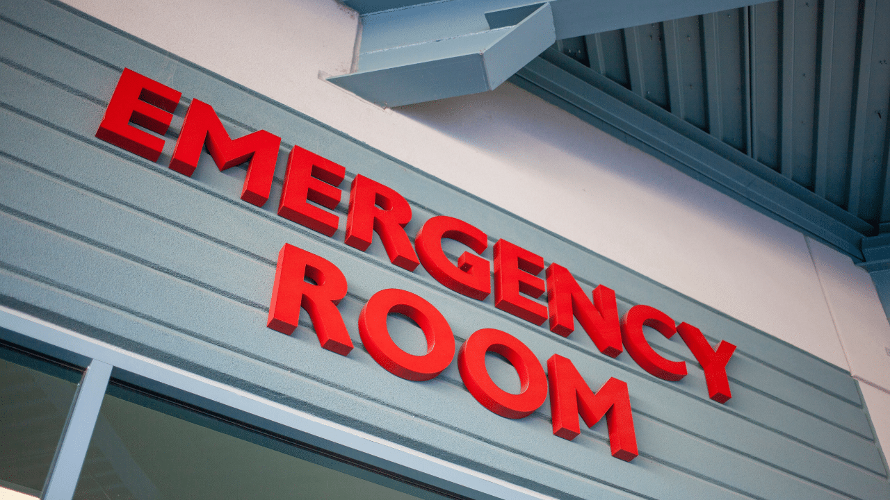 Injured bird rescued after pecking at ER door