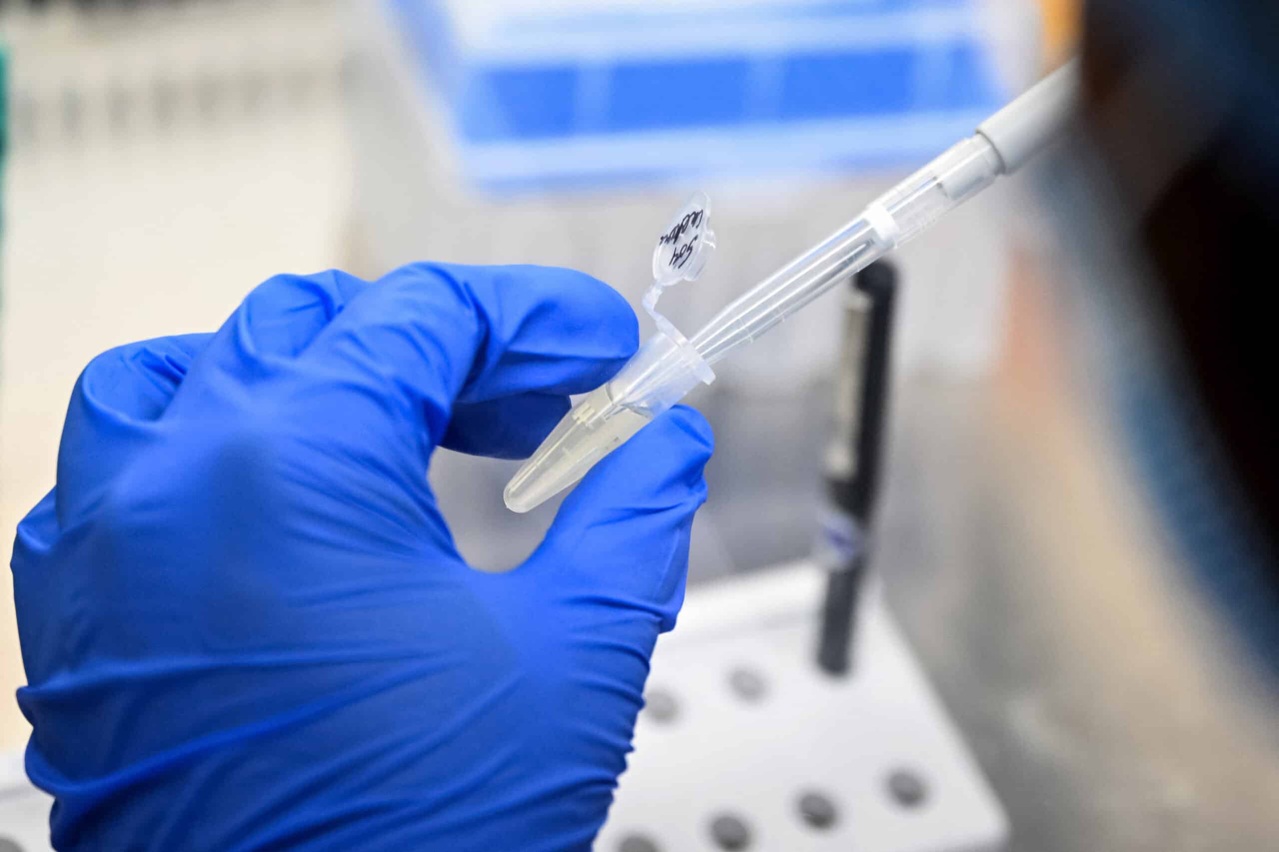 India moves closer to dengue vaccine as final trials underway