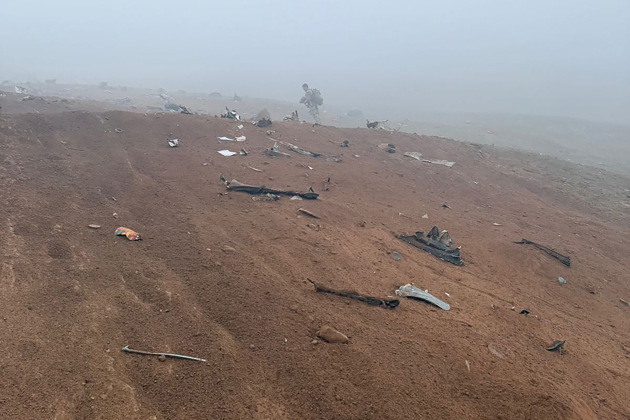 Small dog sole survivor of Peru helicopter crash that killed 15