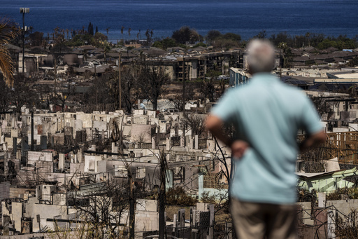 75% of Maui wildfire survey participants have respiratory issues—study